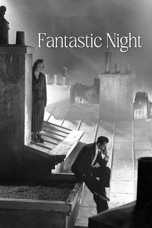 Fantastic Night