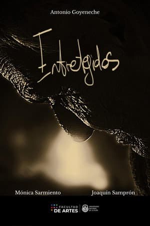 Entretejidos