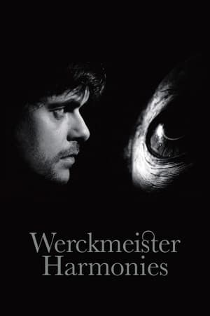 Werckmeister Harmonies