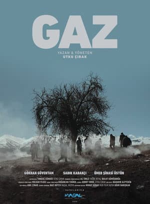 The Gas