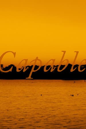 Capable : Director's Cut