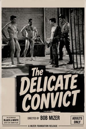 Delicate Convict