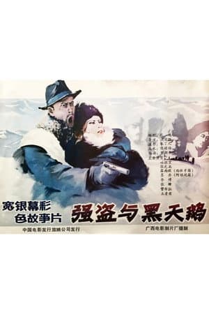 The Robbers and the Black Swan