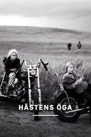 Hästens öga