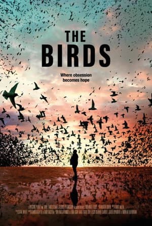 The Birds