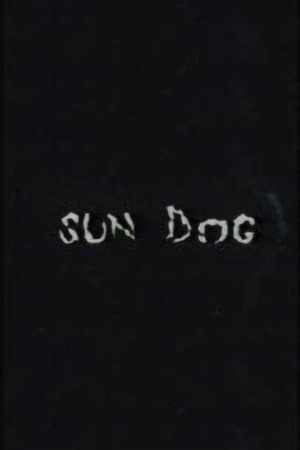 Sun Dog