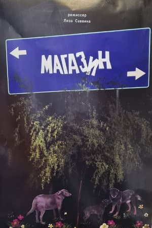 The Store