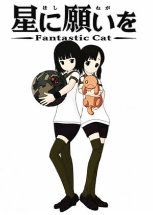 Wish Upon a Star: Fantastic Cat