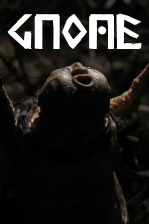 Gnome