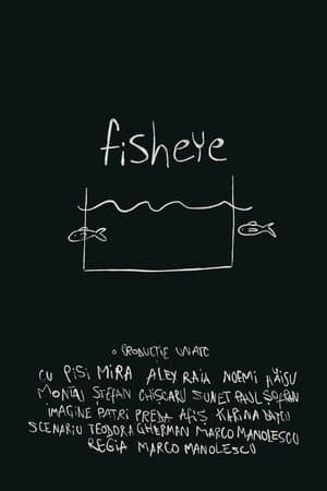 fisheye