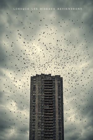 When The Birds Return