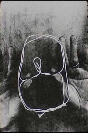 cat's cradle