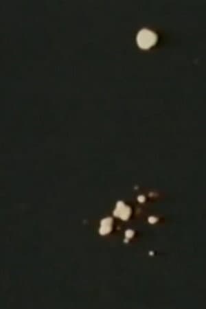 Song 11