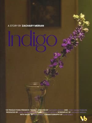 INDIGO