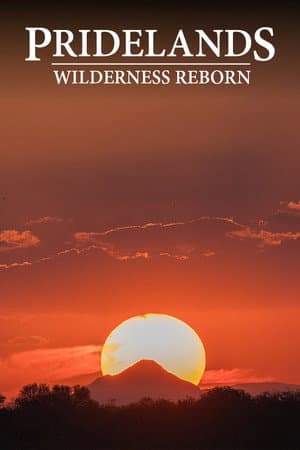 Pridelands: Wilderness Reborn