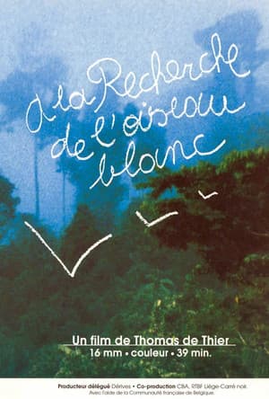 A la recherche de l'oiseau blanc