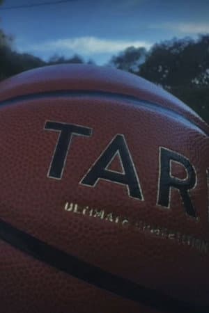 A sensical film about a basketball