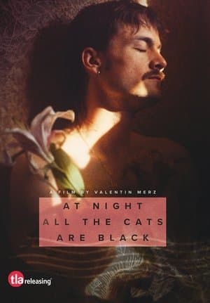 At Night All the Cats Are Black