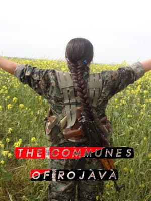 The Communes of Rojava Six Years On: Towards Many Democracies of Neighbors