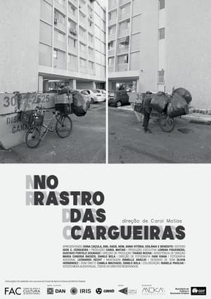 No Rastro das Cargueiras