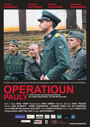 Opaeration Pauly
