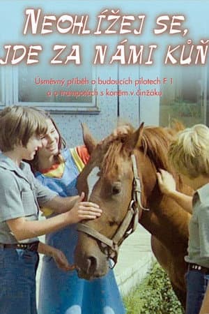 Don't Look Back, There Is a Horse Behind Us