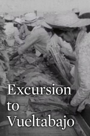 Excursion to Vueltabajo