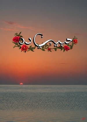 Habeeby Da