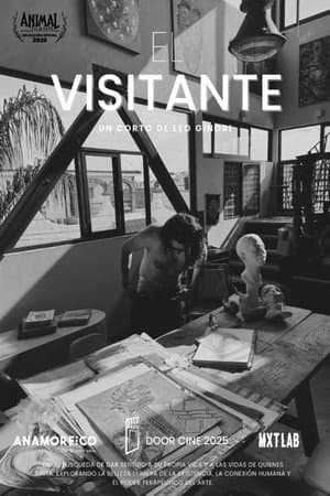 El visitante