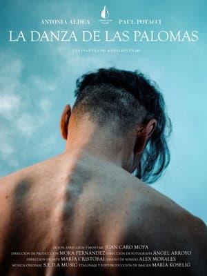La danza de las palomas