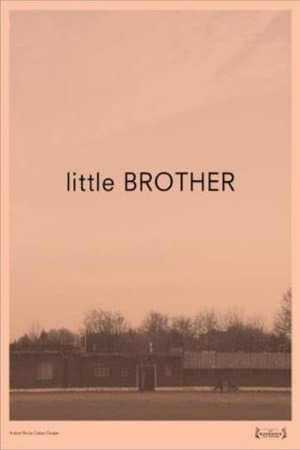 Little Brother