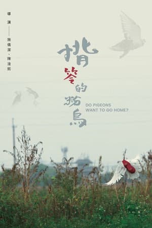 Do Pigeons Want to Go Home?