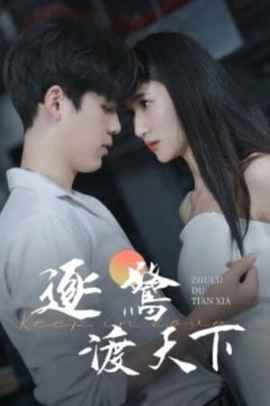 逐鹭渡天下