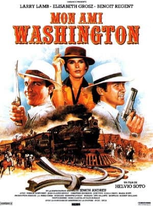 Mon Ami Washington