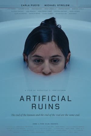 Artificial Ruins