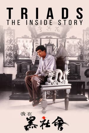 Triads: The Inside Story
