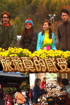 旅游真的感受