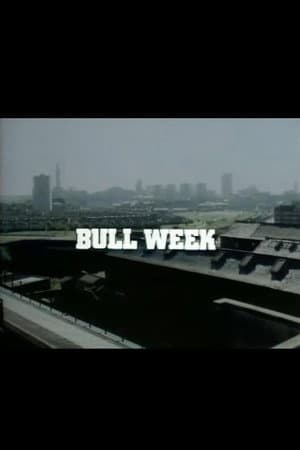Bull Week