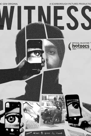 Witness