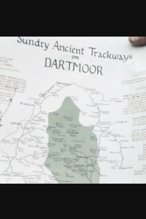 Ancient Trackways of Dartmoor