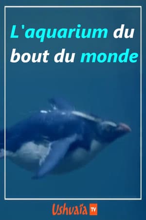 L'aquarium du bout du monde