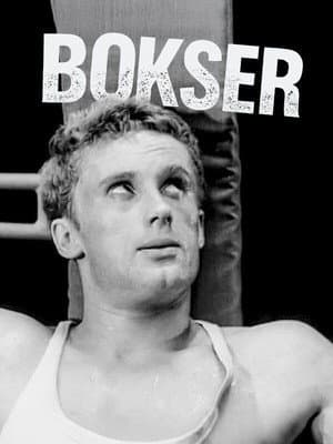 Boxer
