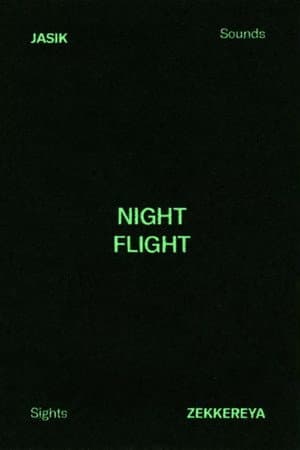 NIGHT FLIGHT