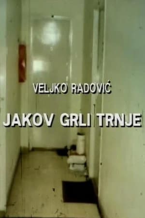 Jakov Hugs the Thorns