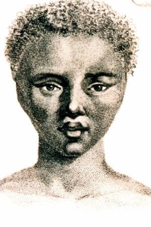 The Life and Times of Sara Baartman
