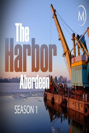 The Harbour