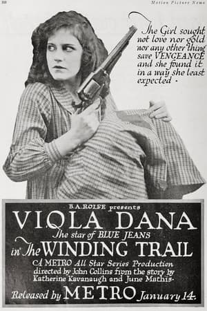 The Winding Trail