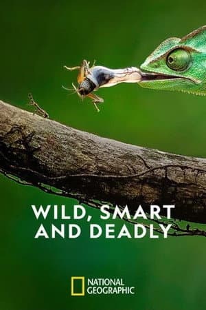 Wild, Smart and Deadly