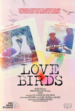 Love Birds