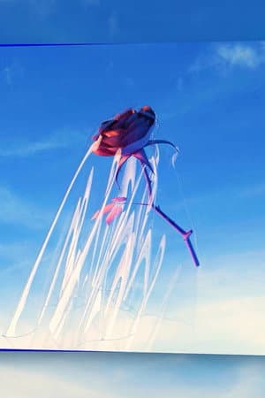 Contours